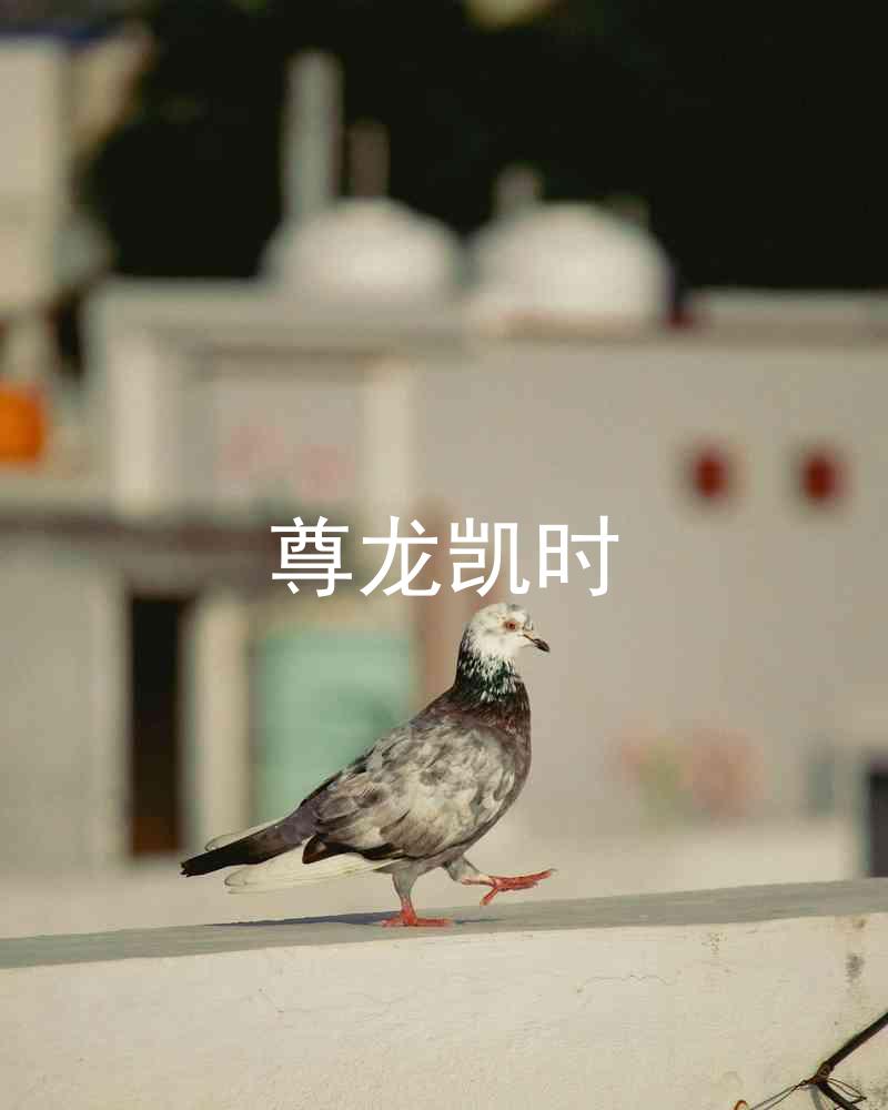 尊龙凯时